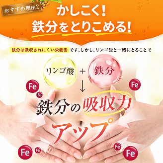 豊潤サジー 1000ml×2本セット サジージュース【紙パックタイプ】