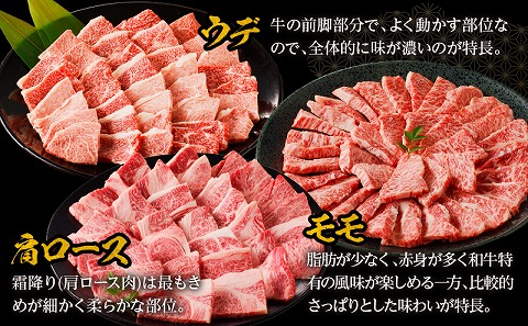 宮崎牛赤身霜降り焼肉　計800g