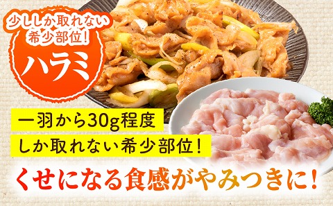 九州産若どり4.4kg小分けセット