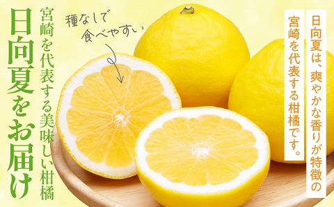 【先行予約】【期間・数量限定】宮崎特産 日向夏