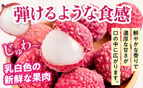 《2026年発送先行予約》【数量・期間限定】宮崎生ライチ 新鮮 果実 濃厚