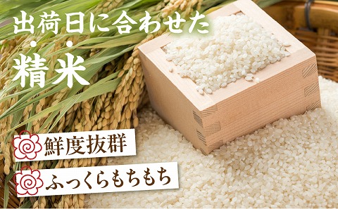 【令和6年度米】宮崎県産ヒノヒカリ 5kg×2袋 合計10kg