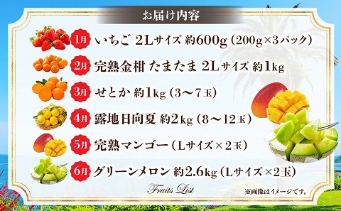 《2026年発送先行予約》【期間・数量限定】旬のフルーツ6ヶ月定期便vol.1