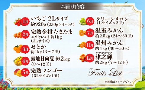 【期間・数量限定】特選！旬のフルーツ9ヶ月定期便vol.1
