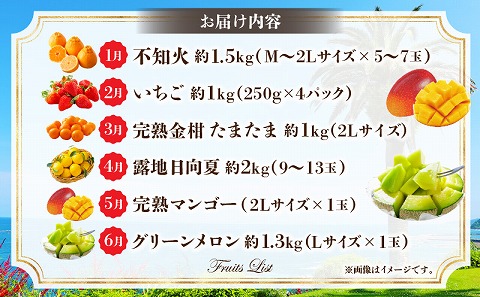 《2026年発送先行予約》南国くだもの6ヶ月定期便