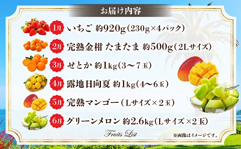《2026年発送先行予約》【期間・数量限定】旬のフルーツ6ヶ月定期便vol.2
