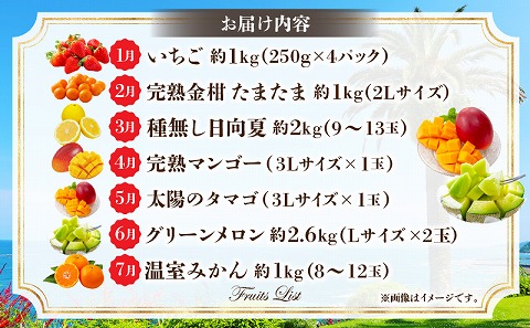 《2026年発送先行予約》特選南国くだもの7ヶ月定期便 フルーツ 定期便 果物 