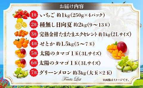 《2026年発送先行予約》プレミアム南国くだもの7ヶ月定期便 フルーツ 果物 定期便