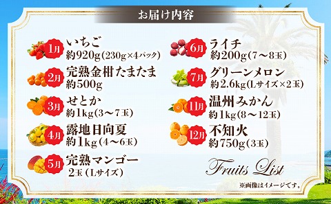 【期間・数量限定】旬のフルーツ9ヶ月定期便vol.1