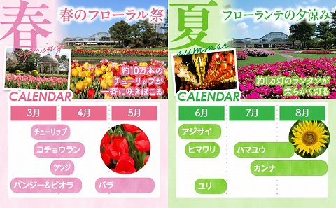 フローランテ宮崎年間パスポート（大人）