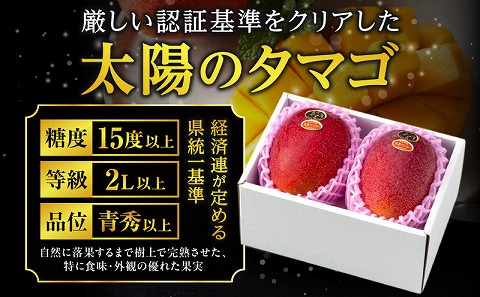 《2026年発送先行予約》【数量・期間限定】太陽のタマゴ 4Lサイズ 2玉