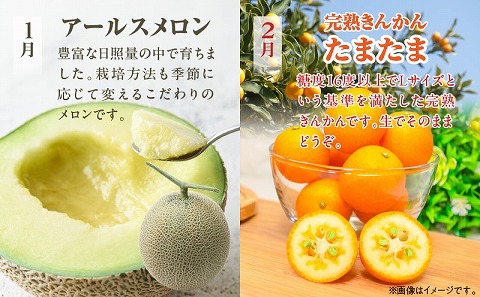 《2026年発送先行予約》【数量・期間限定】【定期便】宮崎市特産くだもの7ヶ月コース 果物 フルーツ 特産