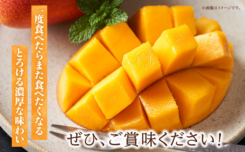 《2026年発送先行予約》【数量・期間限定】3回定期便 2L3玉完熟マンゴーコース 果物 フルーツ マンゴー