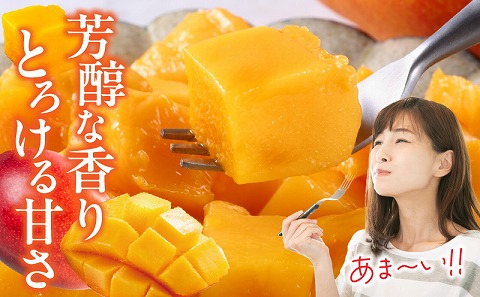 《2026年発送先行予約》【数量・期間限定】宮崎県産完熟マンゴー2L(2玉) マンゴー フルーツ 果物