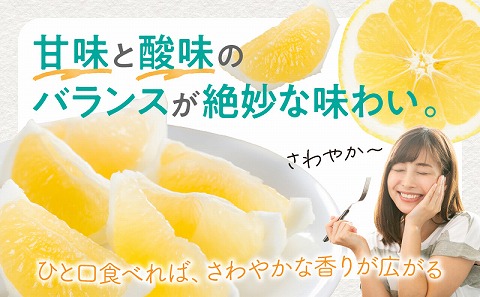 《2026年発送先行予約》【期間・数量限定】宮崎県産日向夏2.5kg　化粧箱入り フルーツ 柑橘 日向夏