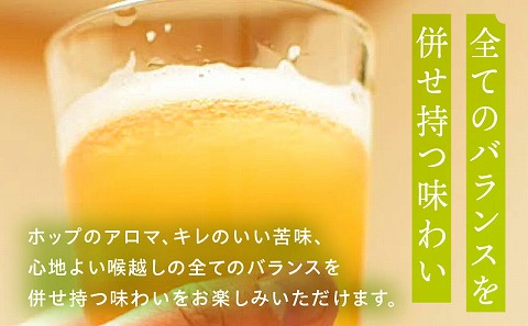 ノボル6缶 4ヶ月定期便セット アルコール お酒 ビール