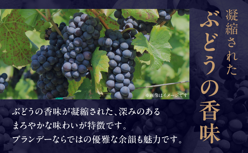 【最速便】雲海葡萄酒醸造所 ブランデー 500ml ワイン 果実酒 ギフト