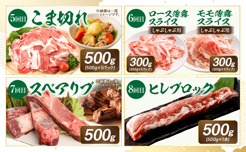 【全12回】《放牧和豚》厳選食べつくし定期便 豚 ロース バラスライス モモ肉 ミンチ こま切れ