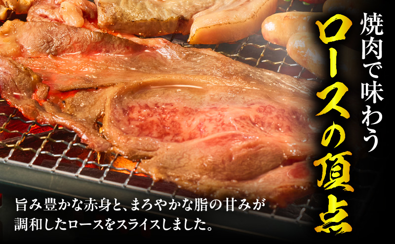 宮崎牛ロース大判スライス焼肉用500g ロース 大判サイズ 焼き肉