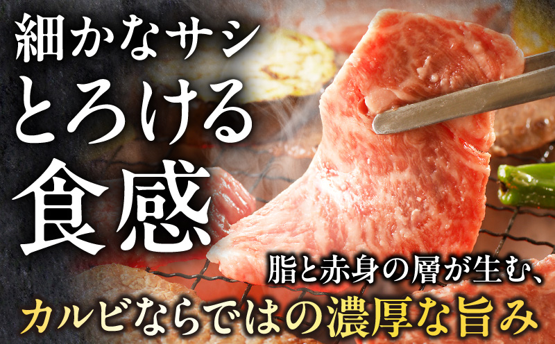 宮崎牛 カルビ焼肉1kg 肉 宮崎牛 焼肉