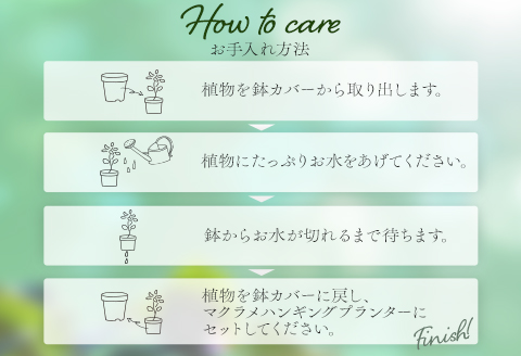 《白》季節の観葉植物と3色から選べるマクラメハンギングプランタ―のセット