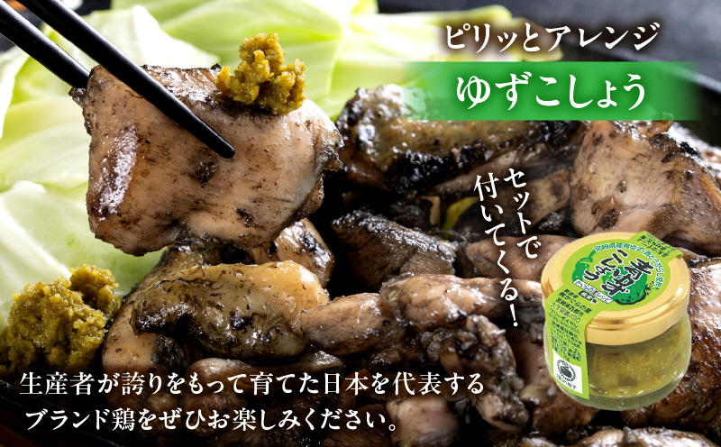 みやざき地頭鶏炭火焼(ゆずこしょう付) 炭火焼き 柚子胡椒 鶏肉 おつまみ 5袋 鶏肉