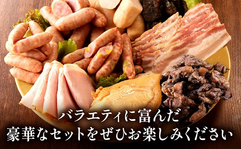 宮崎県産肉加工品バラエティセットA（合計1.19kg 9種類）
