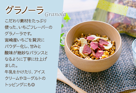 宮崎県産 グルテンフリー & ヴィーガン 焼き菓子 詰合せ <Aセット>