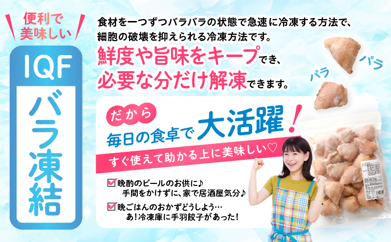 ひとくち手羽ぎょうざ 20個入×1パック 手羽 餃子 手羽餃子