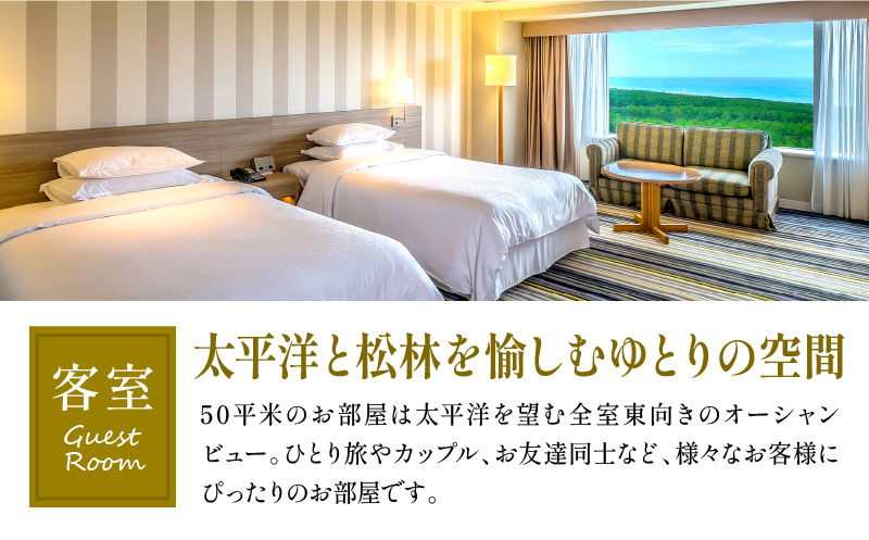 《2026年1月発券》【1泊お食事なし】ペア宿泊券　スタンダードツイン(50平方メートル) 宿泊 家族 カップル