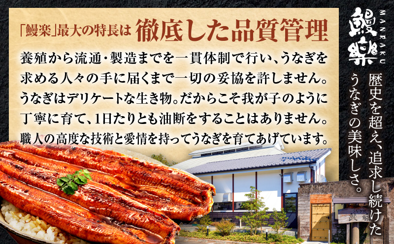 九州産うなぎ蒲焼きざみ6袋、うなぎ蒲焼きざみ(ごぼう入り)6袋 合計600g 国産 うなぎ 鰻 きざみ 600g 蒲焼 蒲焼き ひつまぶし 湯煎 小分け 個包装 真空パック 冷凍 ギフト