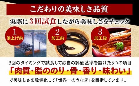国産うなぎ 蒲焼6尾(計1,020g以上) 鰻蒲焼用たれとさんしょうのセット|うなぎ1尾170g以上の鰻6尾からなるウナギの詰め合わせ 鰻 たれ 国産 うなぎ 蒲焼 6尾 惣菜 簡単調理 化粧箱 贈答 贈り物 冬うなぎ 冬鰻