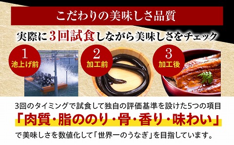 国産うなぎ蒲焼2尾(計320g以上) 鰻蒲焼 ウナギ蒲焼用たれ さんしょうのセット|うなぎ1尾160g以上の鰻2尾からなるウナギの詰め合わせ|うなぎ 蒲焼き うなぎ蒲焼 冬うなぎ 冬鰻 簡単調理 レンジ 湯煎 レトルト セット 国産 惣菜 魚介 水産物 贈答 贈り物 ギフト 化粧箱入り 小分け パック 冷凍 人気 おすすめ 鰻楽|