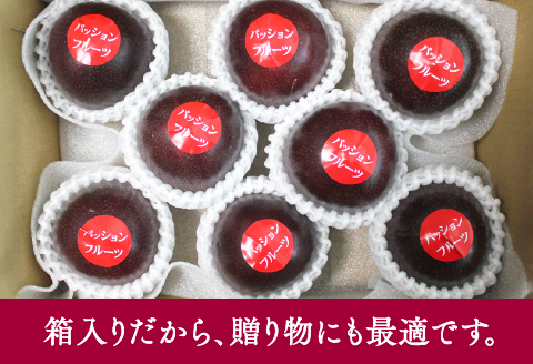 《2026年発送先行予約》【数量・期間限定】8年かけて誕生した宮崎県産極上パッションフルーツＬ 2kg 完熟 フルーツ 贈り物 