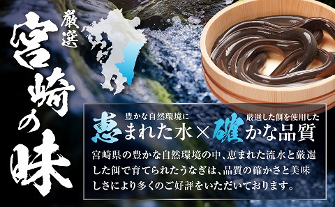 国産うなぎ蒲焼(特大サイズ)・肝焼きセット 国産鰻 ウナギ お土産