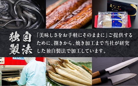 うなぎ白焼(超特大サイズ) 3尾