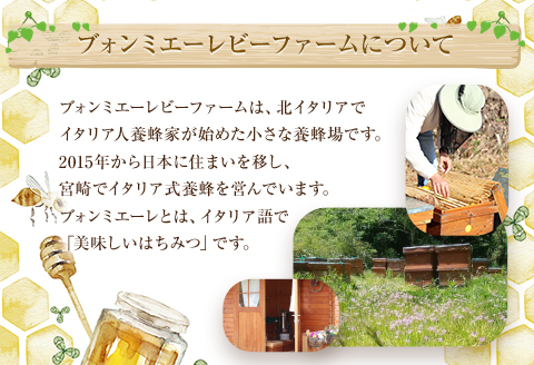 【最速便】【数量・期間限定】宮崎産非加熱ハチミツ(南国青島シリーズ)2～3種 ブォンミエーレ春のハチミツ160g×3本セット 蜂蜜 国産 非加熱