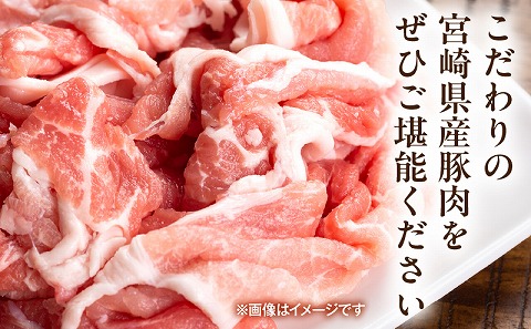 宮崎県産豚肉小間切れ 200g×5パック 肉 豚肉 国産