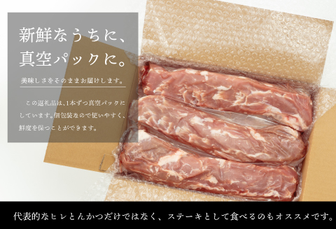 宮崎県産 豚ヒレ ブロック 3本 約1.2kg～1.5kg |豚肉 豚 ぶた 肉 国産 ヒレ ブロック 3本 とんかつ ステーキ