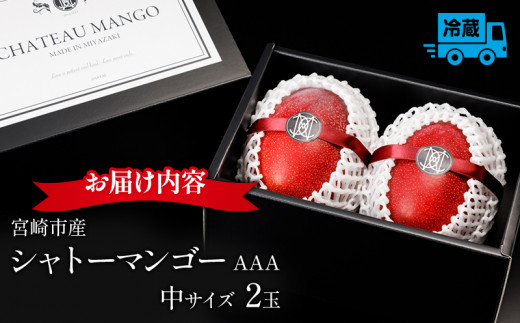 《2026年発送先行予約》【数量・期間限定】シャトーマンゴー(中) AAA 2玉 宮崎マンゴー シャトーマンゴー フルーツ 果物 果実 スイーツ 完熟 