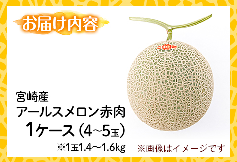 【先行予約】期間限定 数量限定 宮崎産 アールスメロン <赤肉> 1ケース(4～5玉)