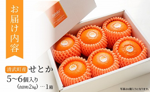 【期間・数量限定】宮崎市清武町産「せとか」5～6個入り（約2kg）