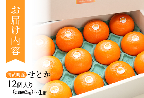 【期間・数量限定】宮崎市清武町産「せとか」12個入り（約3kg）