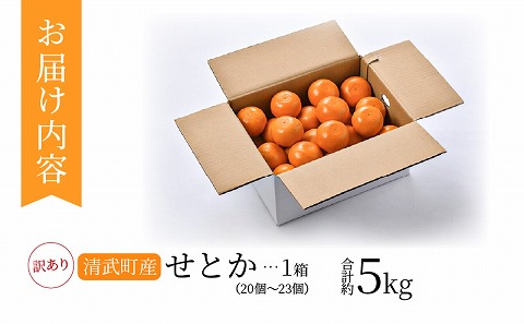 【期間・数量限定】宮崎市清武町産「せとか」訳あり（20～23個入）（約5kg）