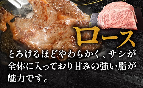 【宮崎牛】ヒレ ステーキ150g×2、ロース ステーキ250g×2 |牛肉 牛 肉 ヒレ フィレ ヘレ ステーキ ロース