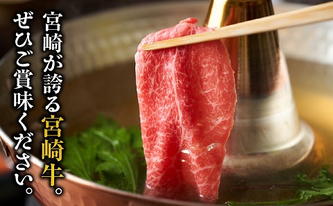 宮崎牛肩ローススライス300g×2 宮崎県産黒毛和牛こま切れ100g×2 合計800g