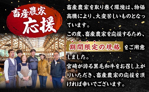 【期間・数量限定】畜産農家応援！宮崎牛 スライス3種セット(肩ロースorロース・ウデ・モモ 各300g)・国産牛ハンバーグ100g×2個 宮崎牛 スライス 牛しゃぶ しゃぶしゃぶ お肉 ロース 肩ロース ウデ モモ 冷凍 バーベキュー BBQ キャンプ 霜降り肉 霜降り 和牛 食べ比べ 人気 国産 宮崎市 おすすめ ロース肉 ミヤチク