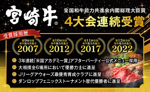 宮崎牛 A5ランク ウデスライス400g×2