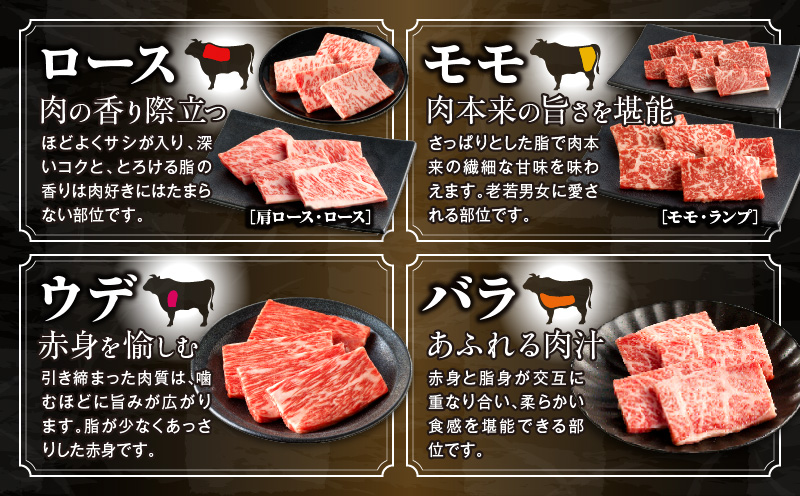 宮崎牛焼肉10種盛り合わせ 宮崎牛 焼肉 10種 盛り合わせ 食べ比べ セット 焼肉セット 詰め合わせ アウトドア キャンプ 網焼き 贈答用 贈り物 贈答 ギフト 牛肉 肉 国産 国産牛 人気 おすすめ 精肉