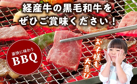 黒毛和牛（経産牛）6種焼肉セット300g × 2（計600g）